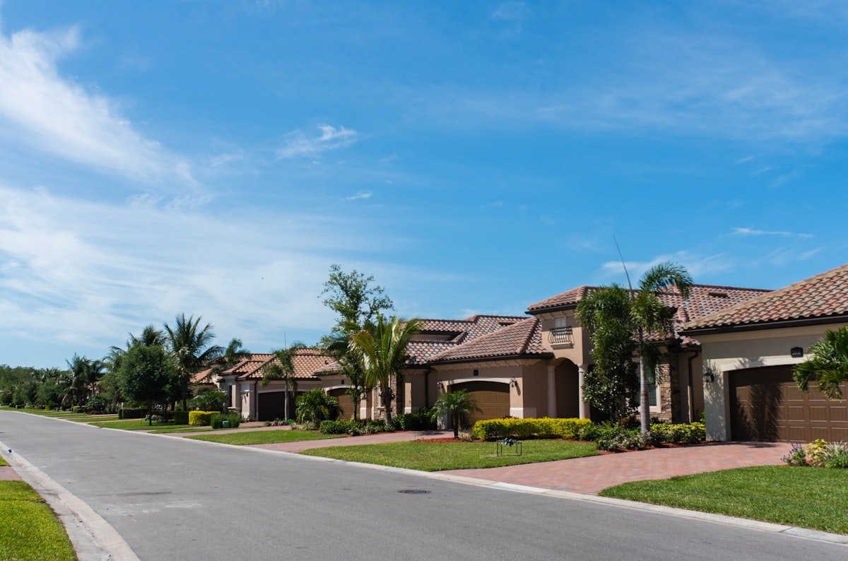 Tampa Bay neighborhood street lined with palm trees and manicured lawns